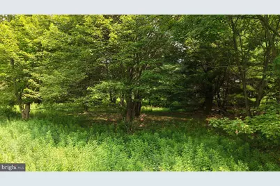 24 Hummingbird Drive, Jim Thorpe, PA 18229 - Photo 23