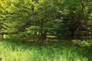 24 Hummingbird Dr, Jim Thorpe, PA 18229 - Photo 23