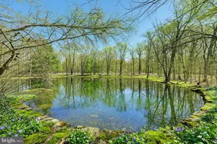 65 Snow Shoe, Lake Harmony, PA 18624 - Photo 3