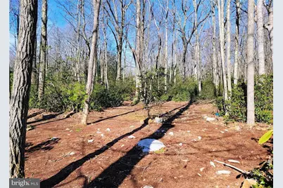 67 Forest Lake Drive, Jim Thorpe, PA 18229 - Photo 45