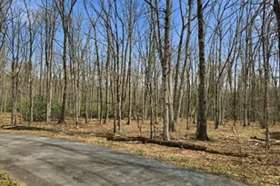 186 Timberlane Dr, Albrightsville, PA 18210 - Photo 67