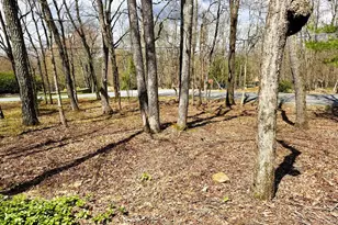 59 White Birch Dr, Jim Thorpe, PA 18229 - Photo 41