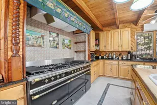 493 Lake Dr, Nesquehoning, PA 18240 - Photo 33