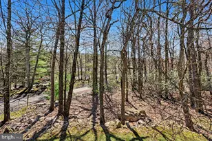 5 Beachwood Ct, Lake Harmony, PA 18624 - Photo 39