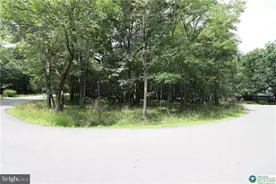 Long Brook Way & Woodland Rd, Albrightsville, PA 18210 - Photo 1
