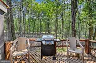 36 Alpine, Lake Harmony, PA 18624 - Photo 45