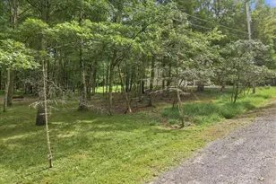 38 Payallup Trail, Albrightsville, PA 18210 - Photo 75