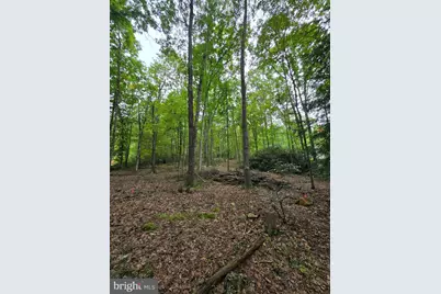 510 W White Bear Drive, Summit Hill, PA 18250 - Photo 3