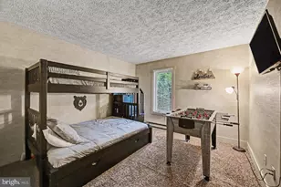 37 Freestyle, Lake Harmony, PA 18624 - Photo 49