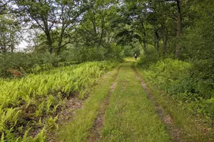 614 Graystones Jeras Rd Lot S-10, Albrightsville, PA 18210 - Photo 1