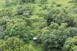 327 9 Acres Mahaffey Grampian Hwy, Mahaffey, PA 15757 - Photo 7