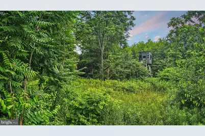 327.9 Acres Mahaffey Grampian Highway, Mahaffey, PA 15757 - Photo 51