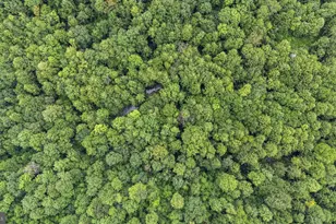 327 9 Acres Mahaffey Grampian Hwy, Mahaffey, PA 15757 - Photo 13