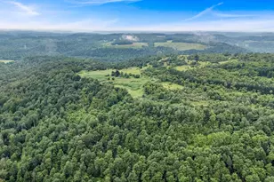 327 9 Acres Mahaffey Grampian Hwy, Mahaffey, PA 15757 - Photo 19