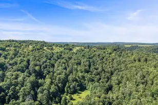 327 9 Acres Mahaffey Grampian Hwy, Mahaffey, PA 15757 - Photo 17