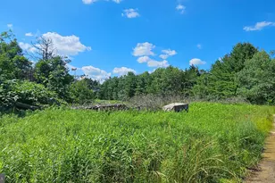 327 9 Acres Mahaffey Grampian Hwy, Mahaffey, PA 15757 - Photo 9