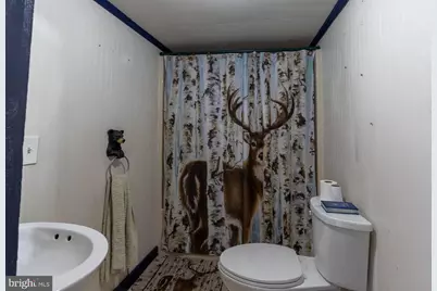 993 Pinchy Road, Morrisdale, PA 16858 - Photo 29