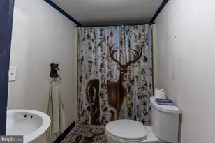 993 Pinchy Rd, Morrisdale, PA 16858 - Photo 29