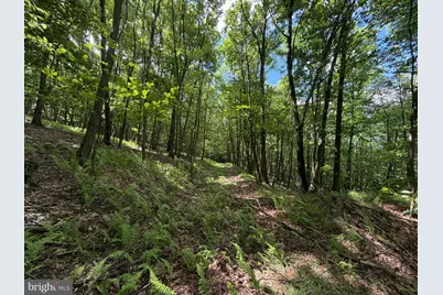 848 Sugar Camp Road, Woodlyn, PA 16881 - Photo 117