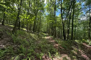848 Sugar Camp Rd, Woodlyn, PA 16881 - Photo 117