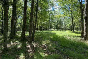 848 Sugar Camp Rd, Woodlyn, PA 16881 - Photo 33