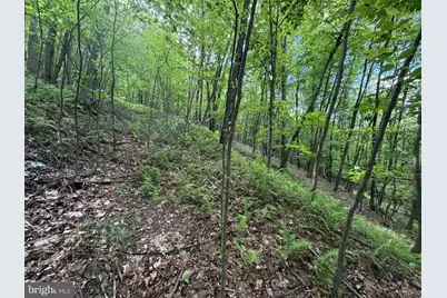 848 Sugar Camp Road, Woodlyn, PA 16881 - Photo 115