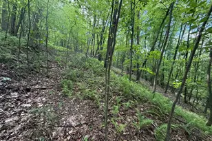 848 Sugar Camp Rd, Woodlyn, PA 16881 - Photo 115