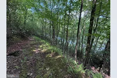 848 Sugar Camp Road, Woodlyn, PA 16881 - Photo 113