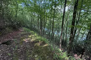 848 Sugar Camp Rd, Woodlyn, PA 16881 - Photo 113