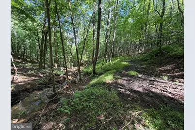 848 Sugar Camp Road, Woodlyn, PA 16881 - Photo 101