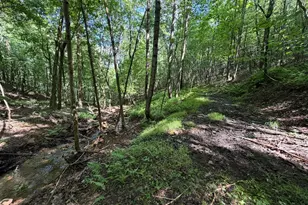 848 Sugar Camp Rd, Woodlyn, PA 16881 - Photo 101