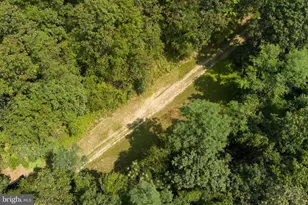 848 Sugar Camp Rd, Woodlyn, PA 16881 - Photo 41