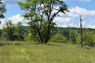 848 Sugar Camp Rd, Woodlyn, PA 16881 - Photo 63