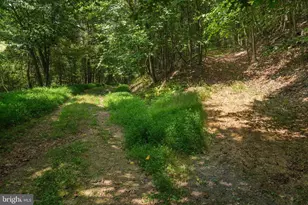 848 Sugar Camp Rd, Woodlyn, PA 16881 - Photo 43