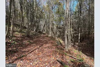 848 Sugar Camp Road, Woodlyn, PA 16881 - Photo 13