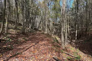 848 Sugar Camp Rd, Woodlyn, PA 16881 - Photo 13