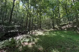848 Sugar Camp Rd, Woodlyn, PA 16881 - Photo 103