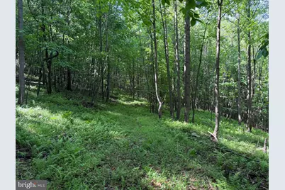 848 Sugar Camp Road, Woodlyn, PA 16881 - Photo 99
