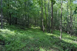 848 Sugar Camp Rd, Woodlyn, PA 16881 - Photo 99