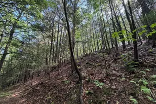 848 Sugar Camp Rd, Woodlyn, PA 16881 - Photo 93