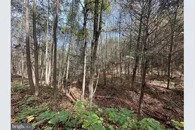 848 Sugar Camp Road, Woodlyn, PA 16881 - Photo 11