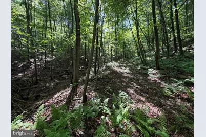 848 Sugar Camp Road, Woodlyn, PA 16881 - Photo 105