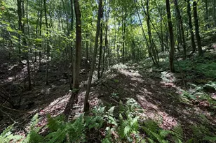 848 Sugar Camp Rd, Woodlyn, PA 16881 - Photo 105