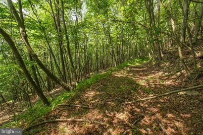 848 Sugar Camp Road, Woodlyn, PA 16881 - Photo 75