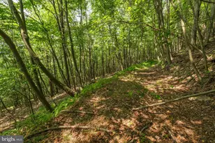 848 Sugar Camp Rd, Woodlyn, PA 16881 - Photo 75