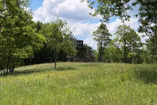 848 Sugar Camp Rd, Woodlyn, PA 16881 - Photo 53