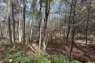 848 Sugar Camp Rd, Woodlyn, PA 16881 - Photo 11