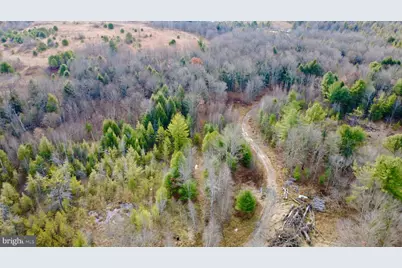 1042 Lower Hollow Road, Morrisdale, PA 16858 - Photo 3