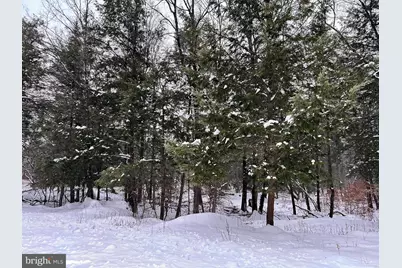 Tabernacle Road, Schwenksville, PA 16833 - Photo 3