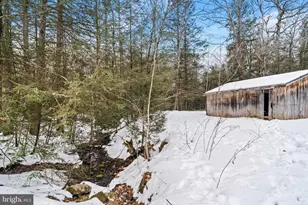 6148 Shiloh Rd, Woodlyn, PA 16881 - Photo 29